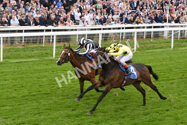 yr13052022r2-26 - Race 2 2.25pm Oaks Farm Stables Fillies' Stakes (registered as the Michael Seely Memorial Stakes)