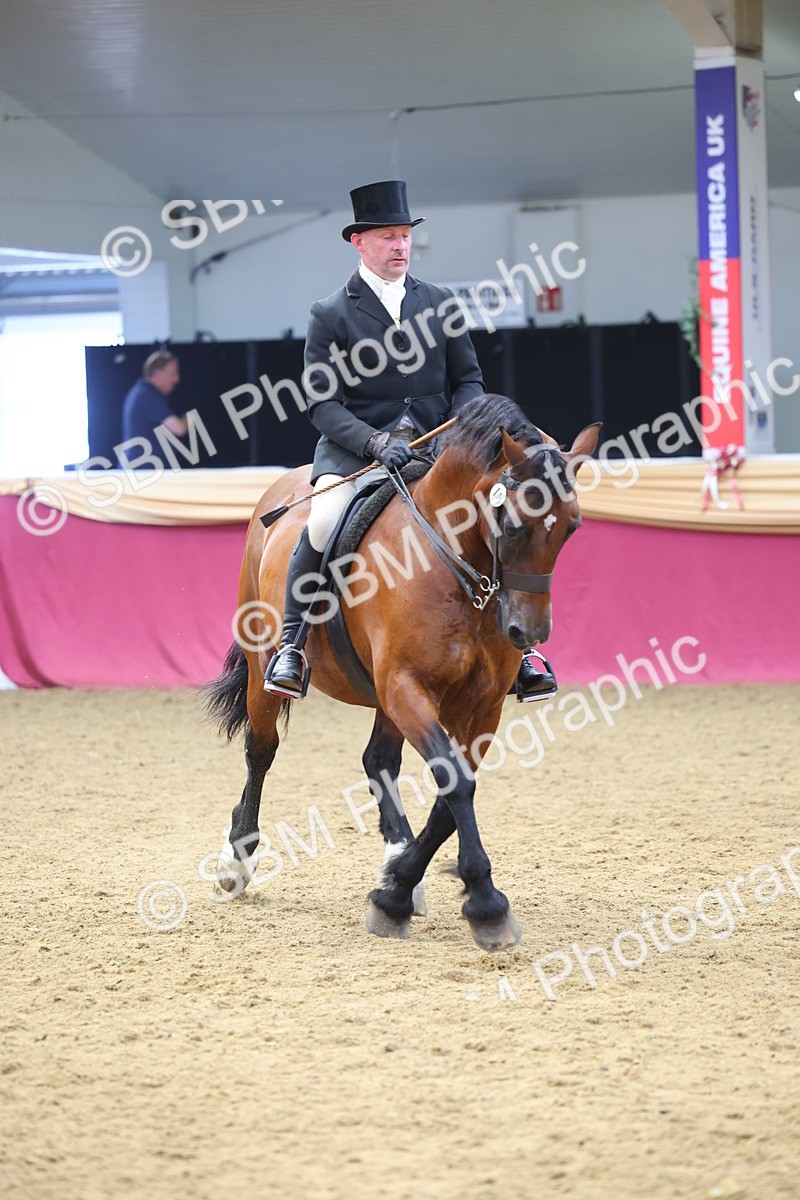 SBM_24438 - Class 906 - Supreme Final - Ridden Pre Vet