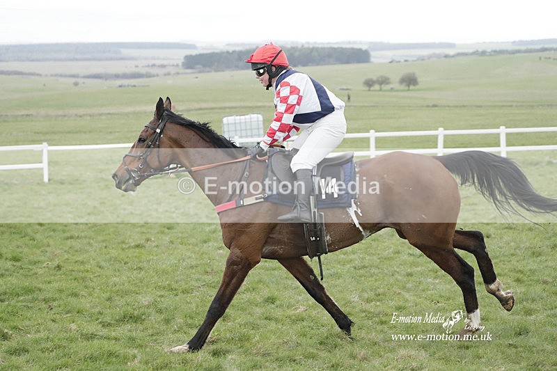 PtP 260323 0597 - New Forest Hounds Point-to-Point Larkhill 26/03/23