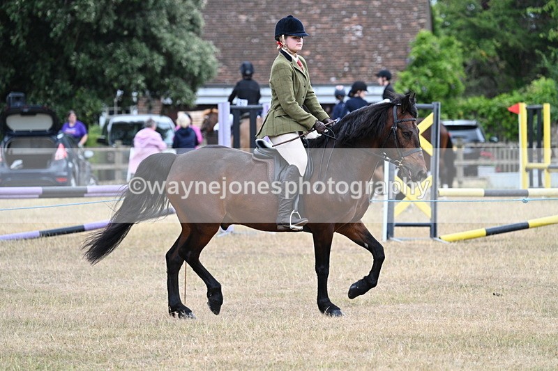WJ7_0607 - Class 6 Ridden Mountain and Moorland