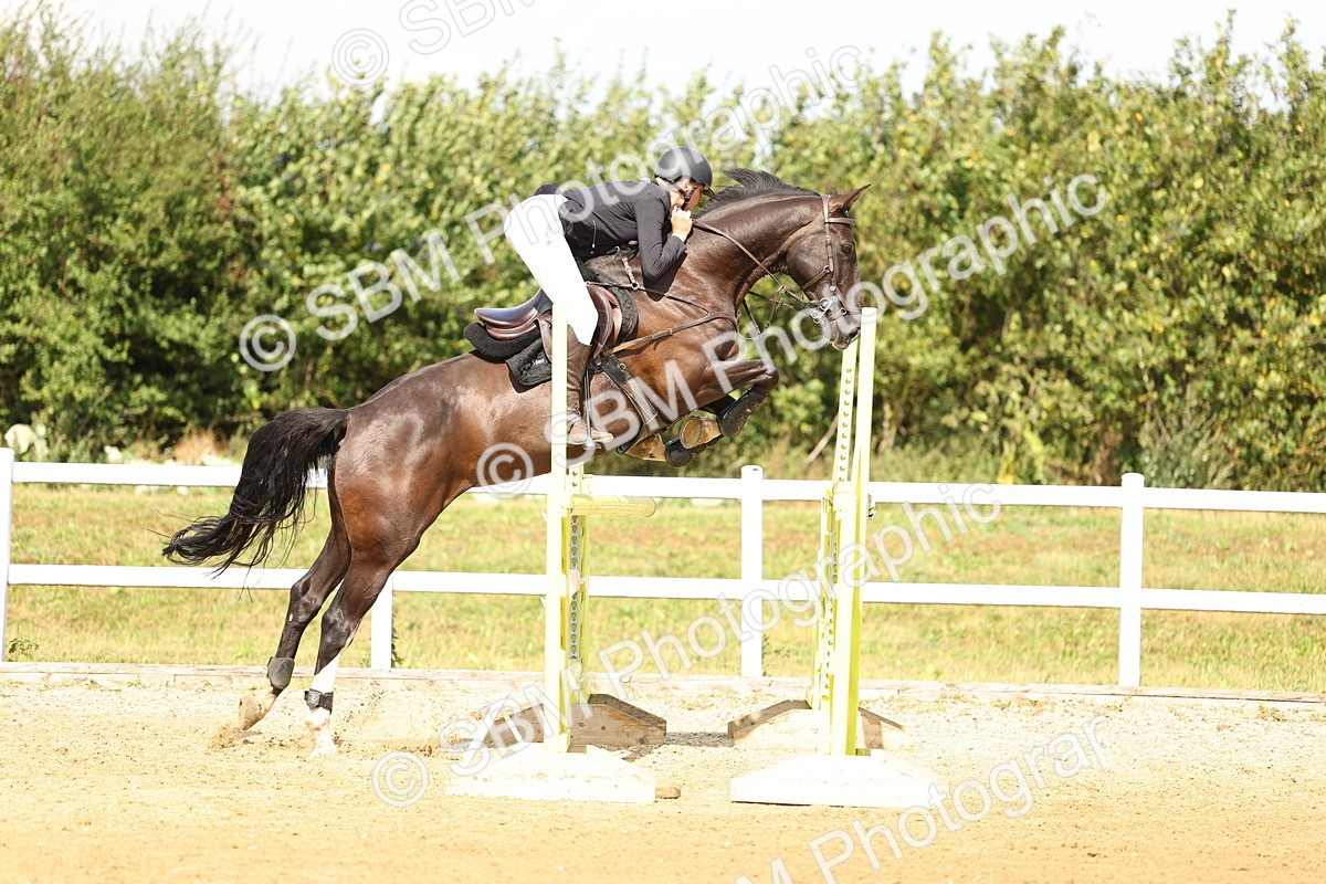 SBM_010489 - Class 4 - Senior Foxhunter - 1.20m Open