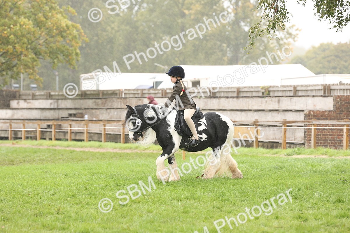 SBM_72759 - S70 - Traditional Cob Ridden