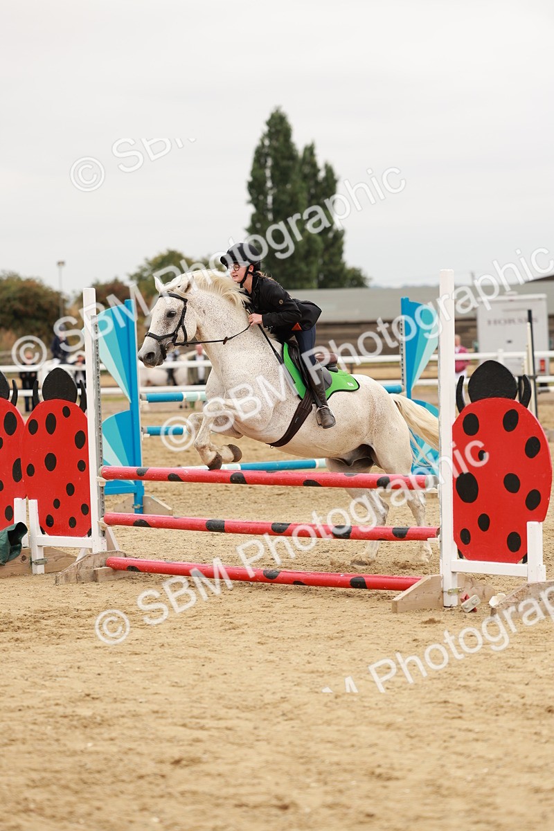 SBM_008610 - Class 5 - 80cm