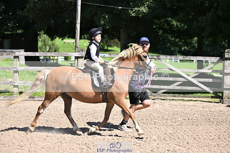 240729B-111816-02309 - Showjumping Competition