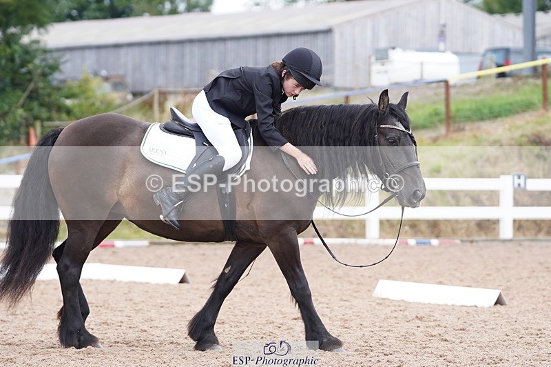 240809A-095444-00362 - Dressage Competition