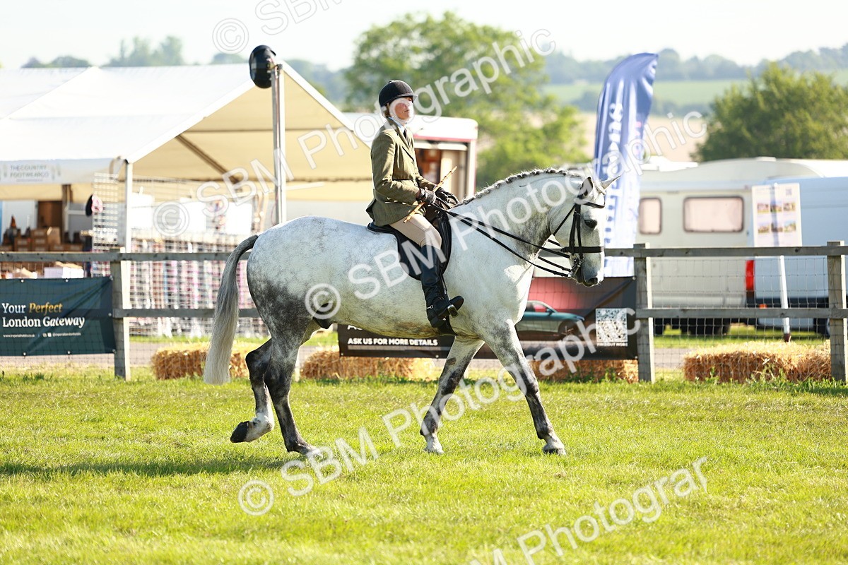 SBM_10820 - Class 66-69 - RIHS Ridden Hunters Inc Small Hunter