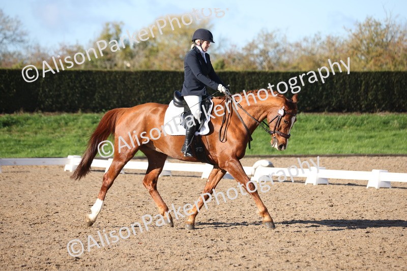 20251102-0533 - Class 3 - Novice 5