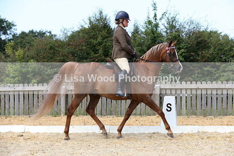 1X9A8343 - Class 13: Arab Ridden