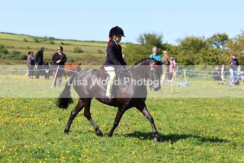 3E7A9180 - Class 3: First Ridden