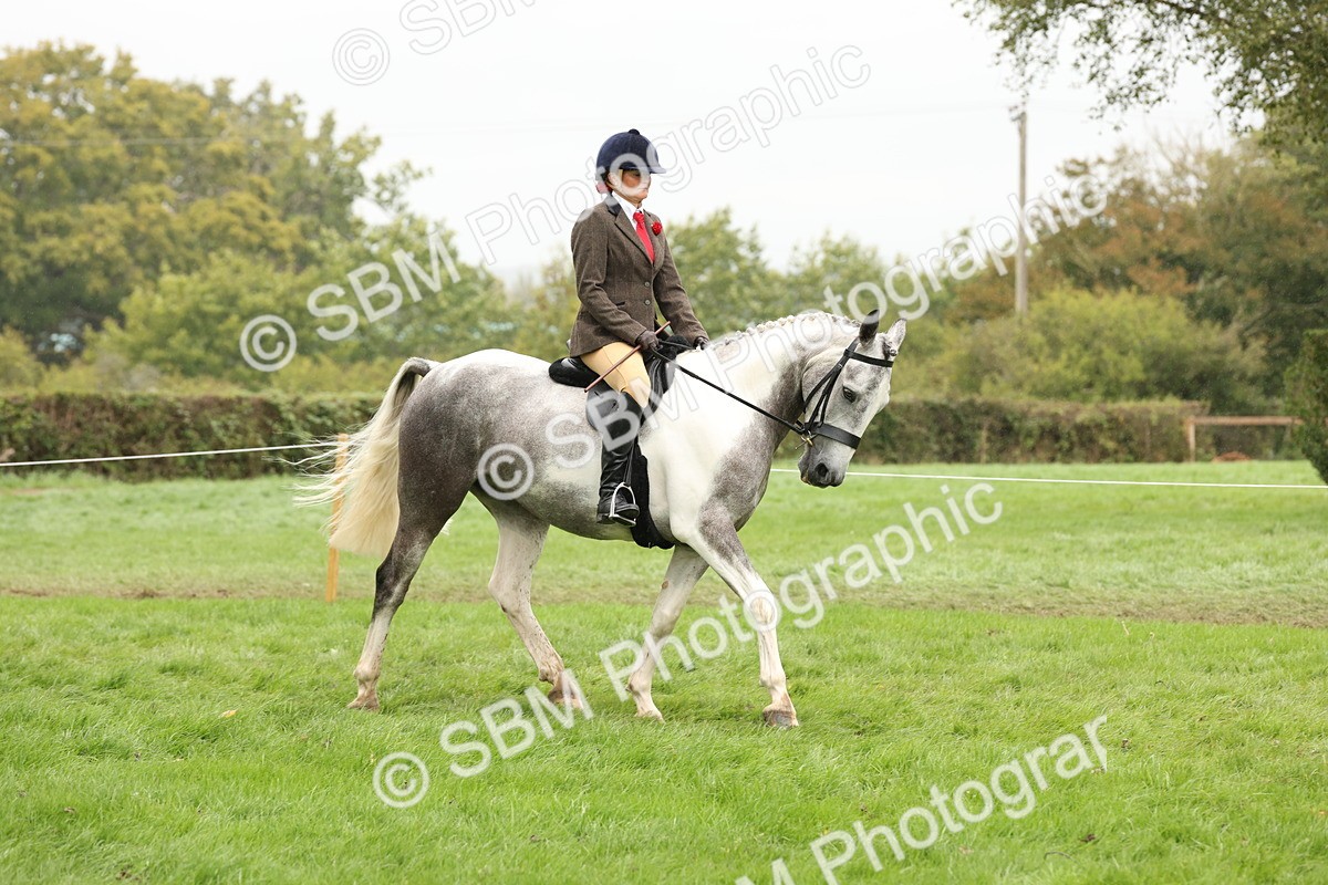 SBM_69881 - S68 - Other Coloured Horse Ridden