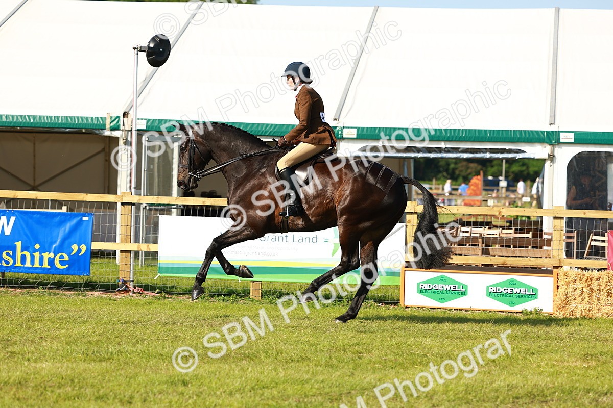 SBM_10922 - Class 66-69 - RIHS Ridden Hunters Inc Small Hunter
