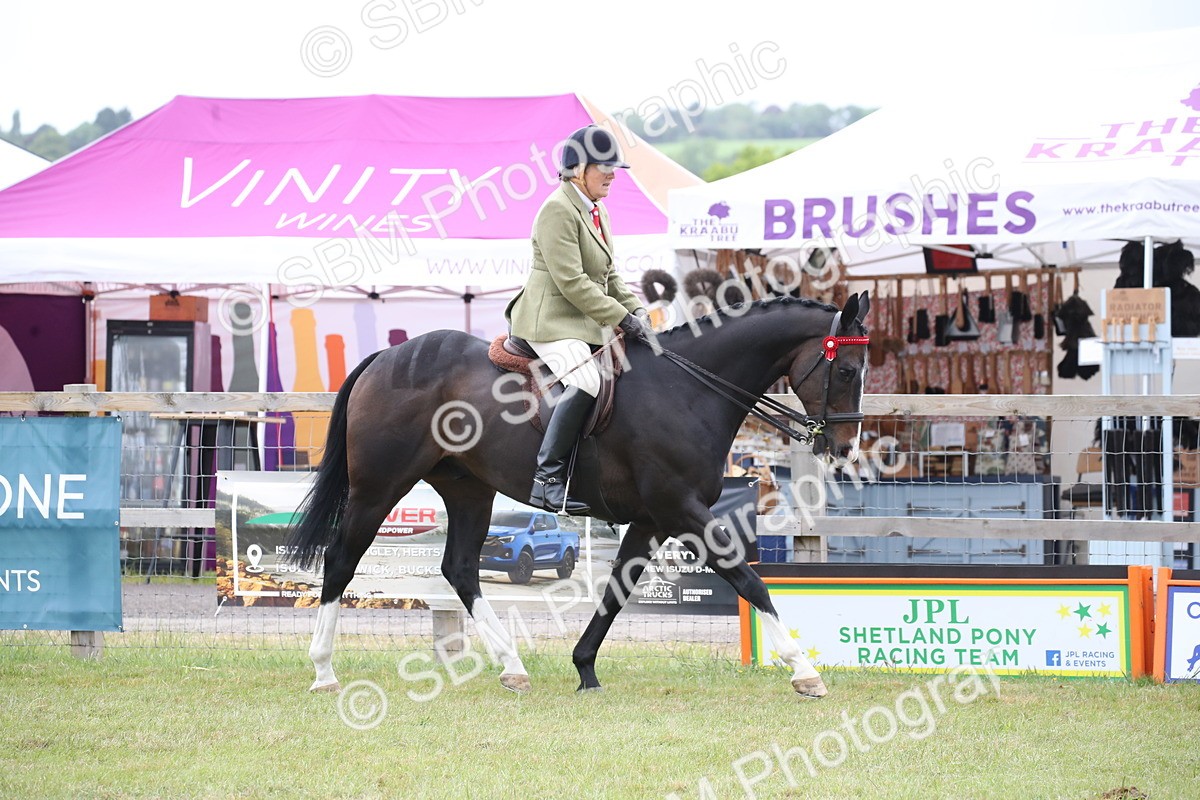 SBM_11409 - Class 94 - LIHS BSHA Racehorse to Showhorse