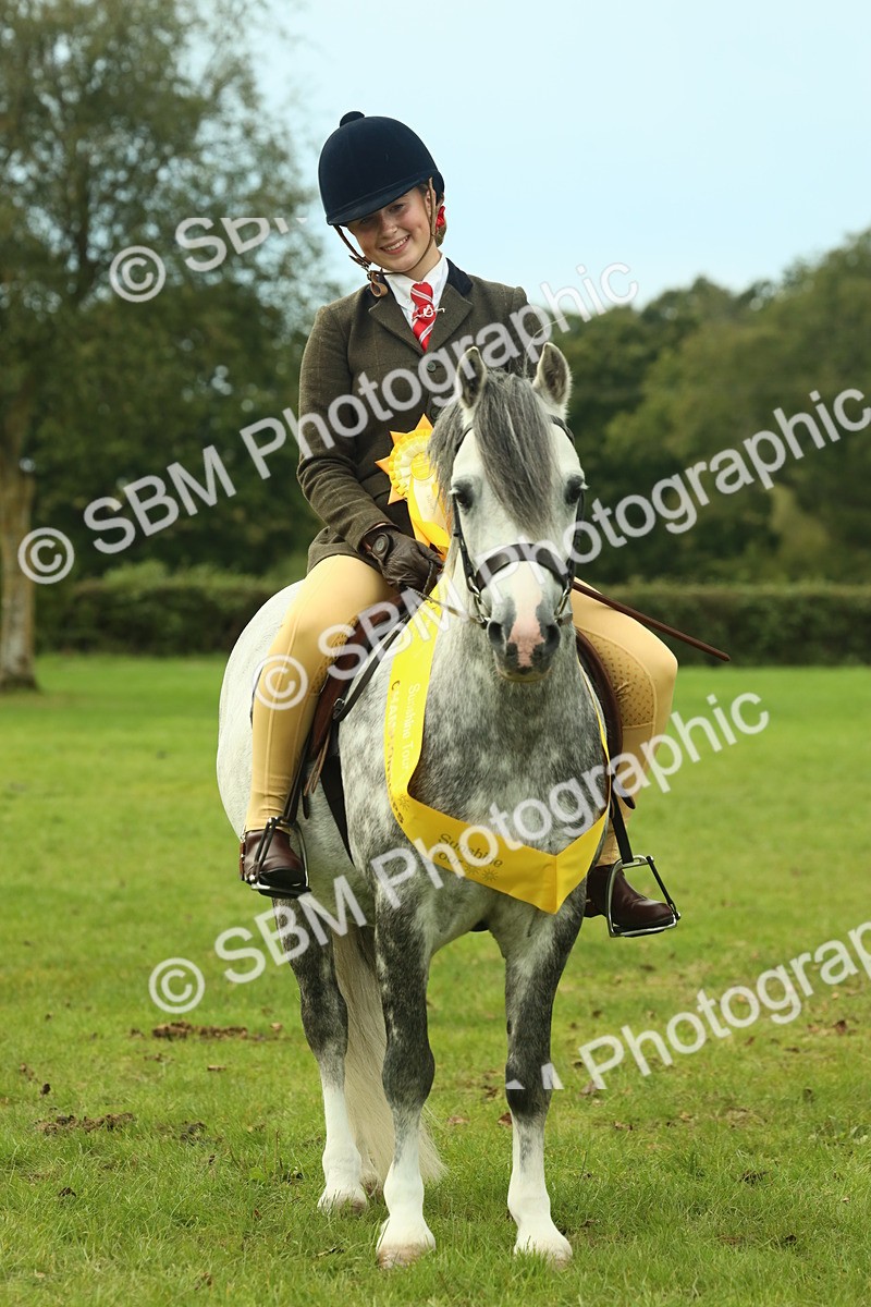 SBM_70035 - S59 - Mountain & Moorland Ridden Small Breeds
