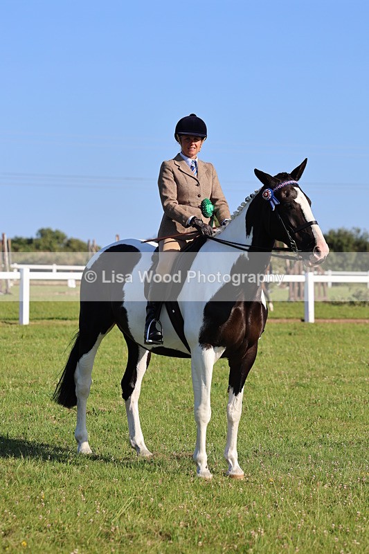 IMG_1348 - Class 27: Ridden Plaited Coloured Horse
