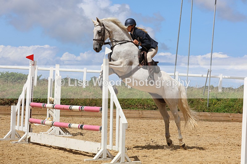 3E7A0352 - Class 9: Senior British Novice/90cm open