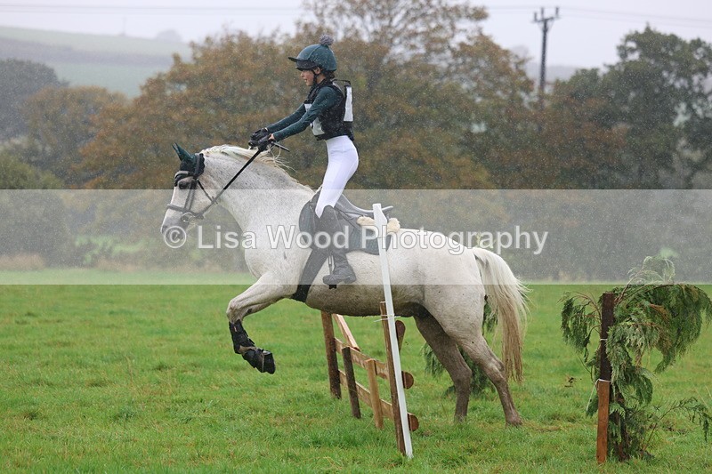 3E7A0933 - Class 1: 65cm: Rails