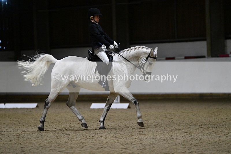 WJ5_8784 - Class 5 Novice Test 3