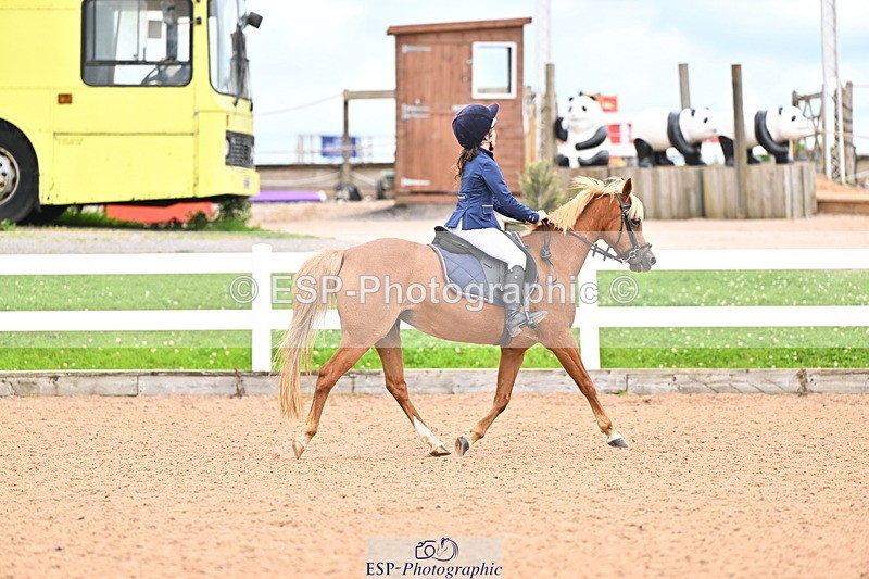 240723A-154143-00017 - 50cm and 60cm