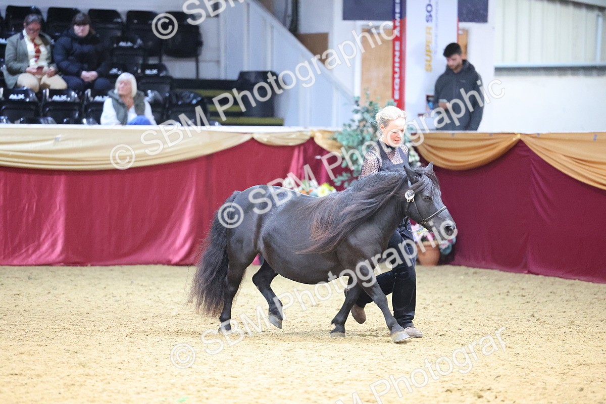 SBM_22782 - Class 903 - Supreme Final - IH Pre Vet