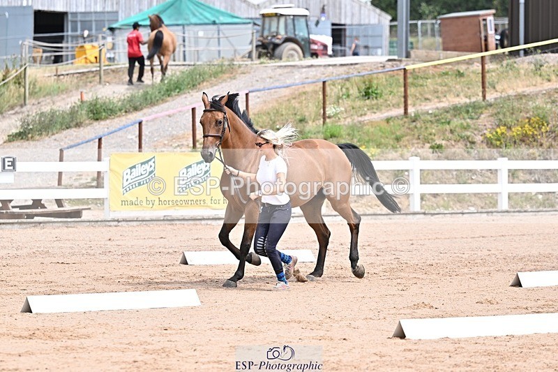 250716-130436-00306 - Trot Up 12.30 to 1.30