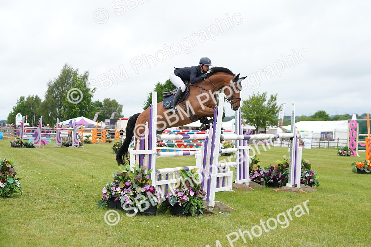 SBM_03239 - Class 201 - British Horse Feeds Speedi Beet Horse of the Year Show Grade  C