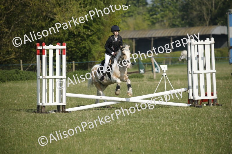 20250427-0275 - Class 12 - Rookie Jumping 40cm