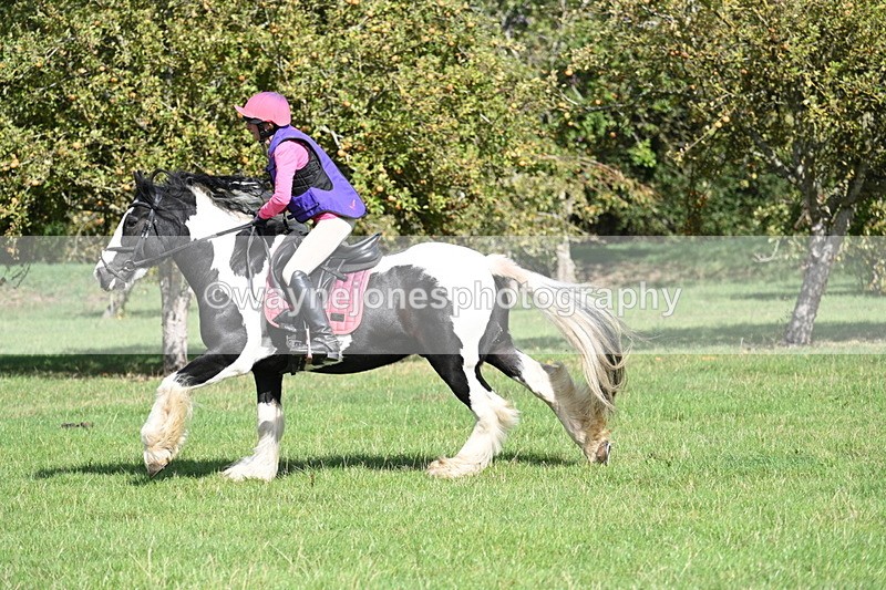 WJ7_0226 - Time 12:53 to 13:03