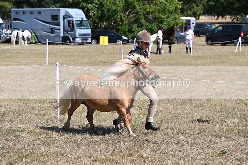 WJ6_9206 - Championship Classes 33-38