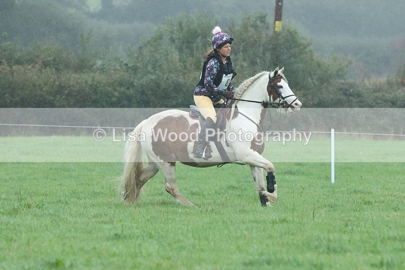 JPP_5016 - Class 1: 65cm : Showjumping