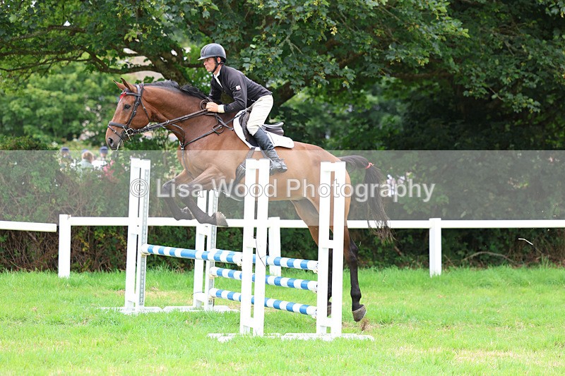 3E7A7189 - Class 5: Senior British Novice/90cm open