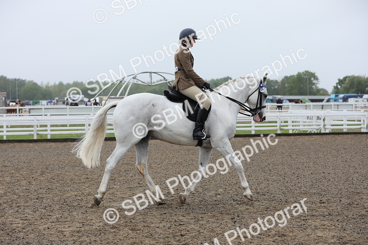 SBM_20034 - Class 802 - Ridden Groom - Helpers class