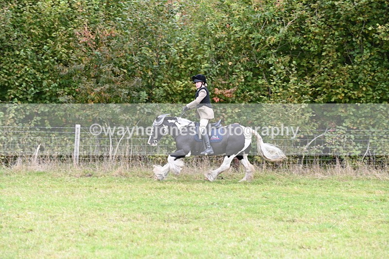 WJ6_0804 - Camera 2 Line 1