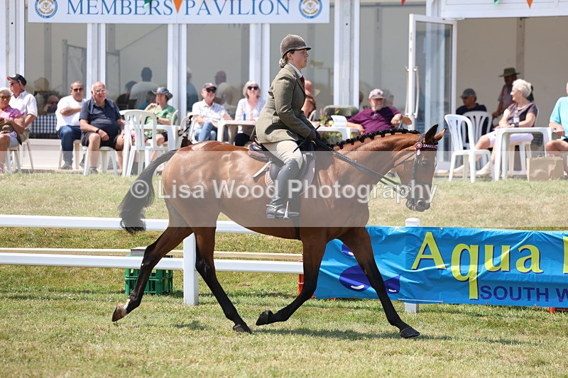 3E7A9301 - Class 12: Open Racehorse to Show Horse