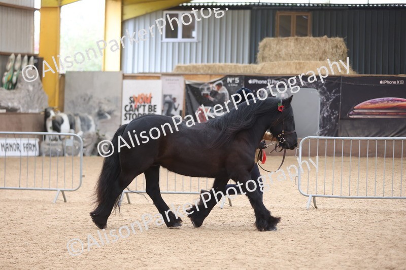 20251109-1153 - Championship