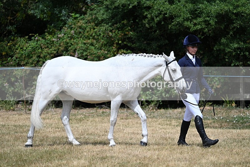 WJ7_1632 - Class 4 Prettiest Mare up to 14.2hh in hand