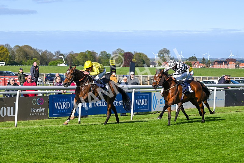 240425-Race 7-Mister Daydream-1802 - Race 7