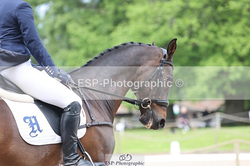 240523-111202-03523 - 218-DALI_III-Natasha_Bailey