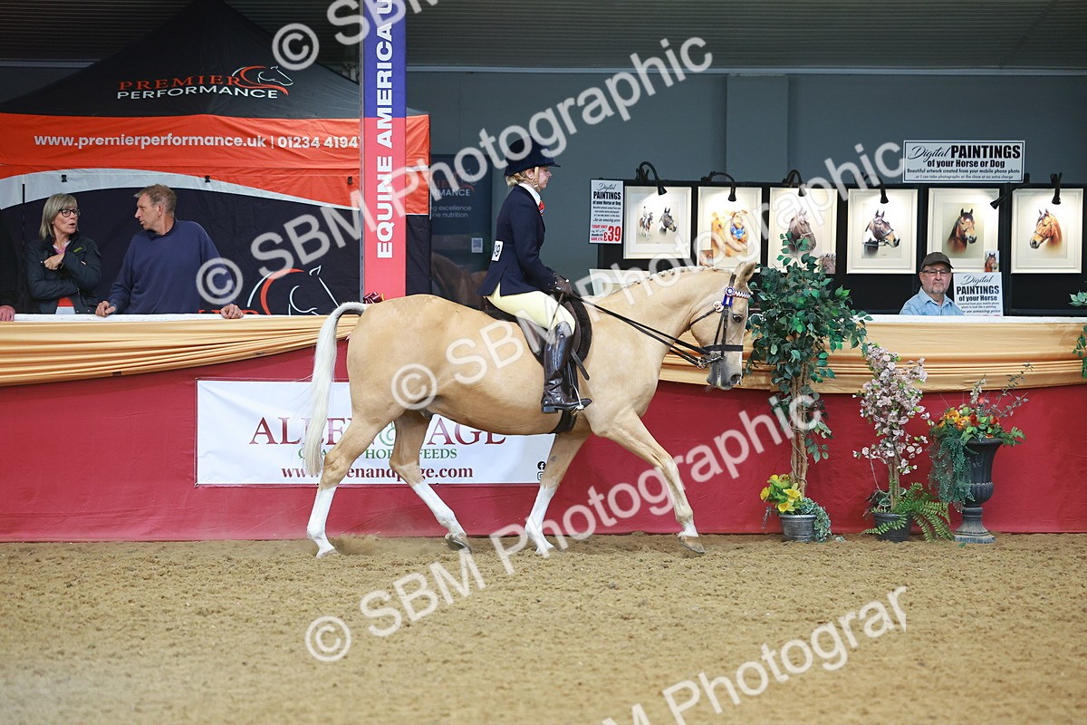 SBM_09610 - Class 102 - HOYS Veteran Qualifier - Ridden Veteran