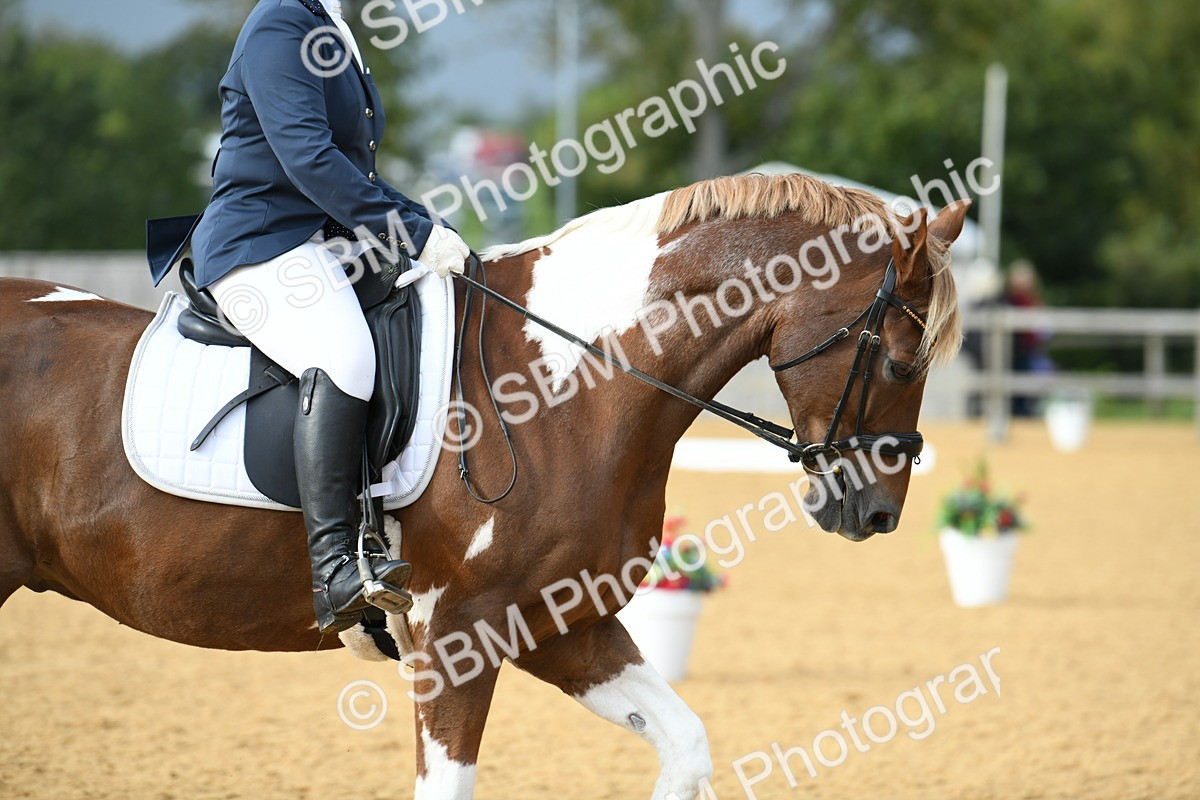 SBM_11055 - D28 Elementary Taster Elementary 42