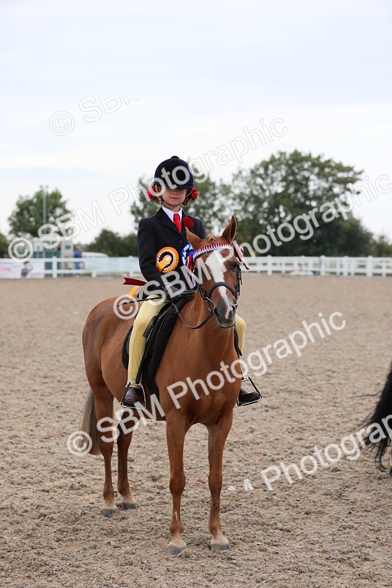 SBM_18230 - Class 316 Best Pony/Rider Combination