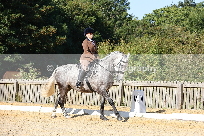 1X9A7734 - Class 9: Open Ridden Hunter