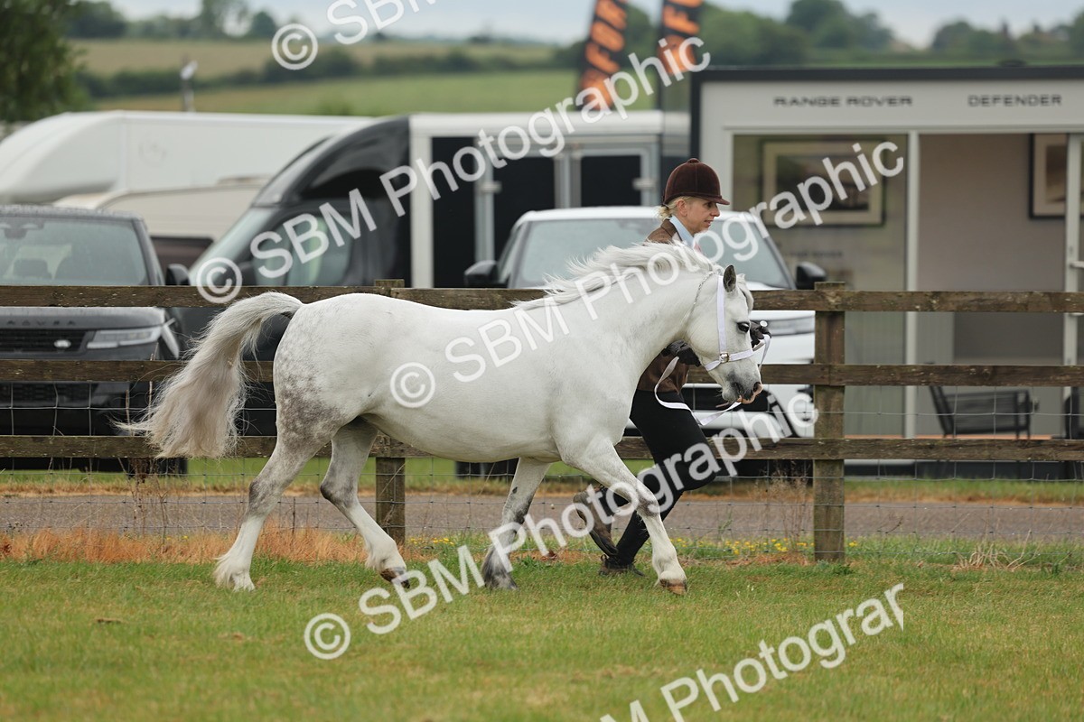 SBM_01492 - Class 50-57 - M&M Welsh Pony In Hand