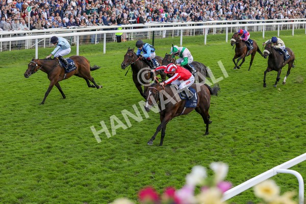 230824-Race 4-Bradsell-8412 - Race 4 3.35pm Coolmore Wootton Bassett Nunthorpe Stakes