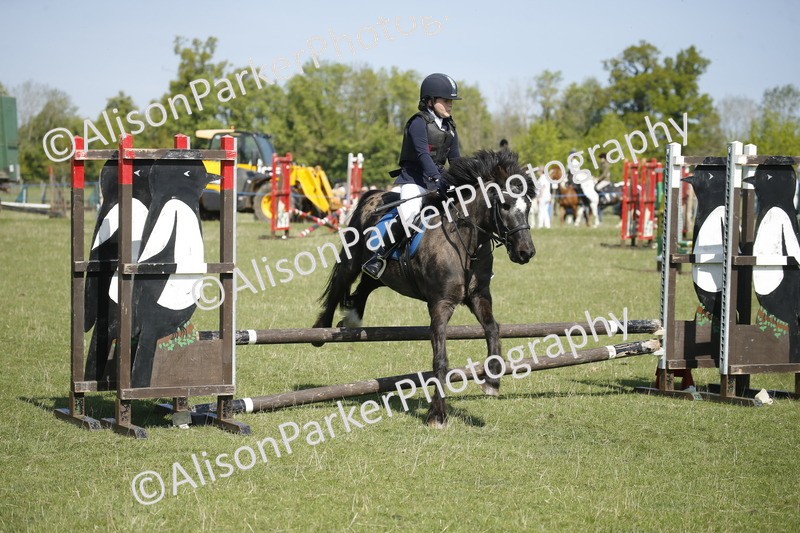 20250427-2018 - Class 13 - Novice Jumping 60cm