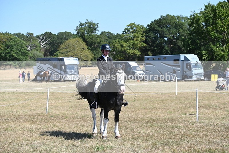 WJ6_8450 - Class 37a Best Loan Pony Ridden