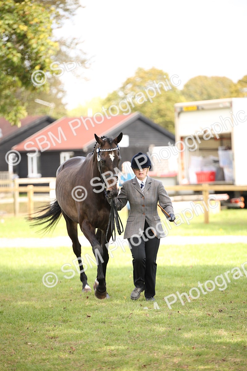 SBM_44466 - S24 - Young Veteran in hand