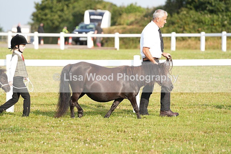 DSC04393 - Classes 44 & 45: NPS M&M Brood Mare and Foal