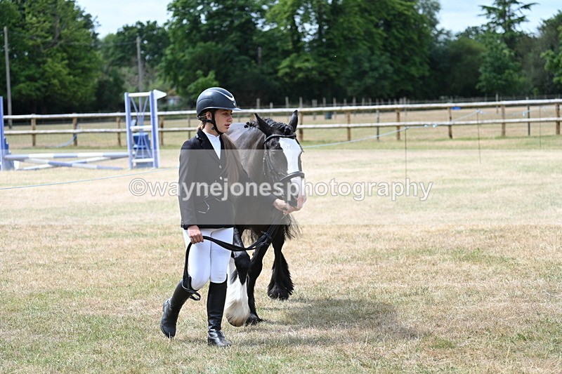 WJ7_1662 - Class 4 Prettiest Mare up to 14.2hh in hand