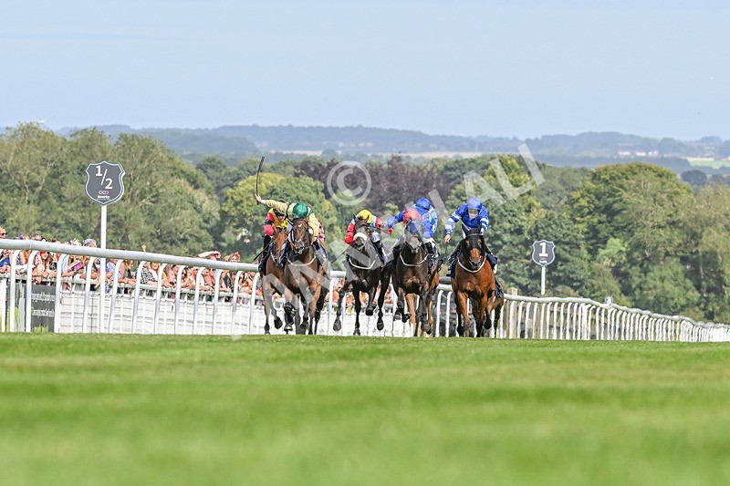 140824-Race 4-Queens Road Revue-3646 - Race 4