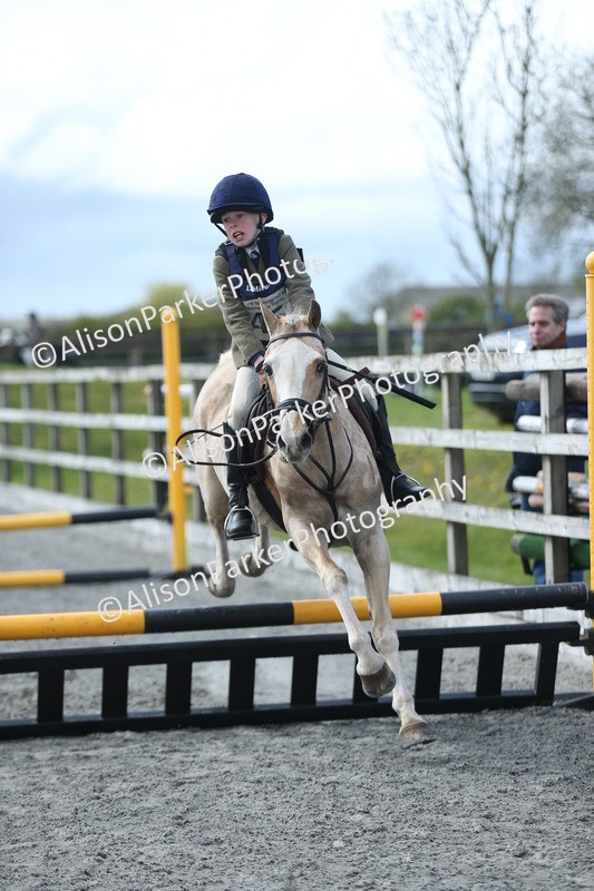 20260412-1774 - Show Jumping